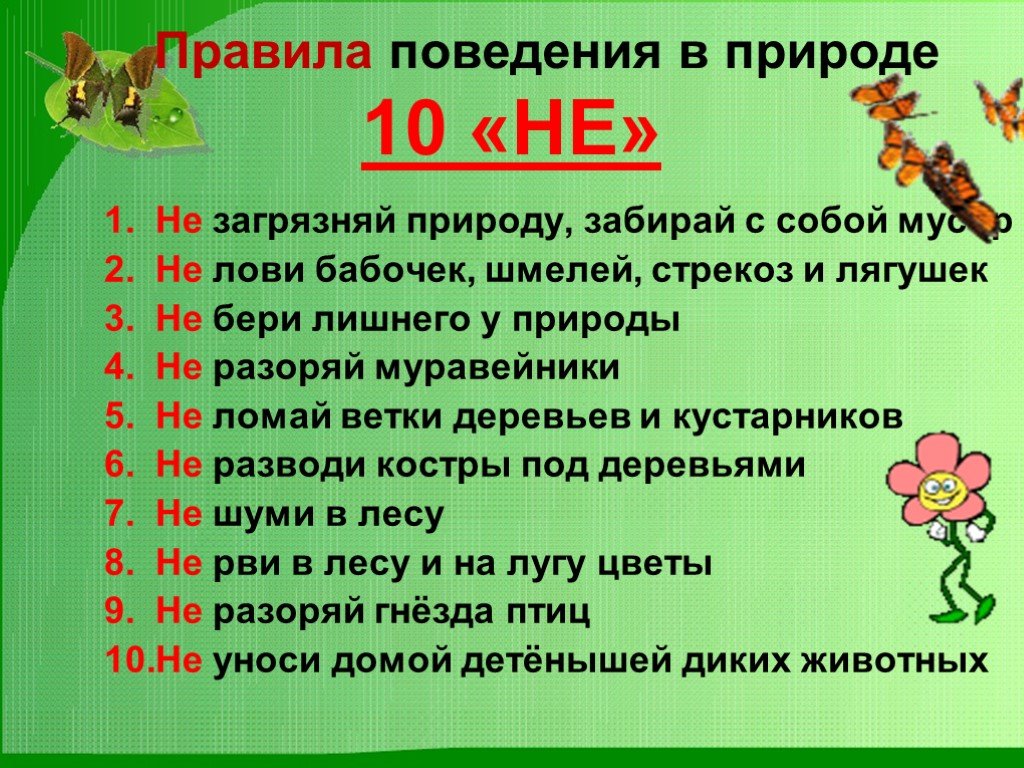 pamyatka po lesy22 1